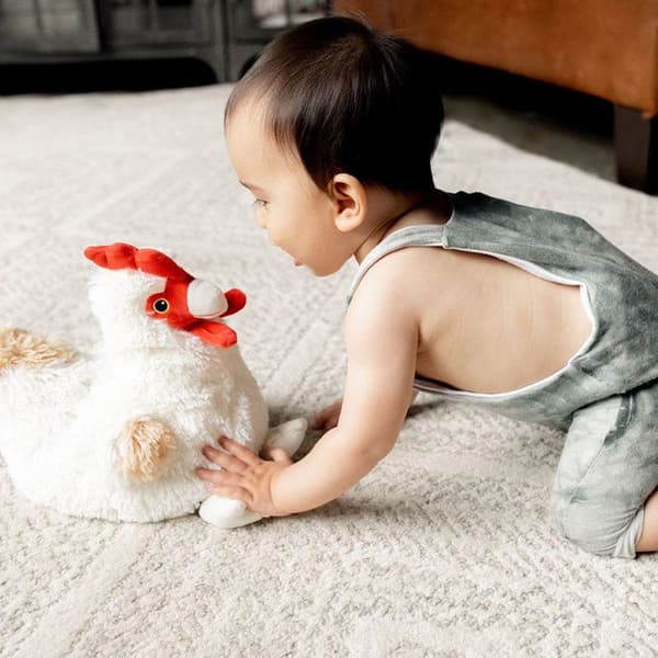 Bouillotte Pehmolelu Kana COSY PLUSH - SOFRAMAR