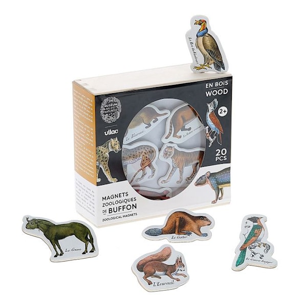 Buffon zoologiska magneter