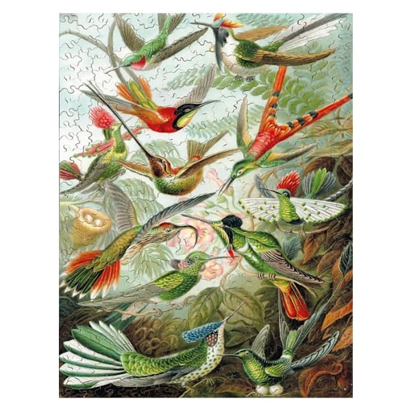 Michèle Wilson Pussel - HAECKEL Hummingbirds - WILSON-SPEL Flerfärgad