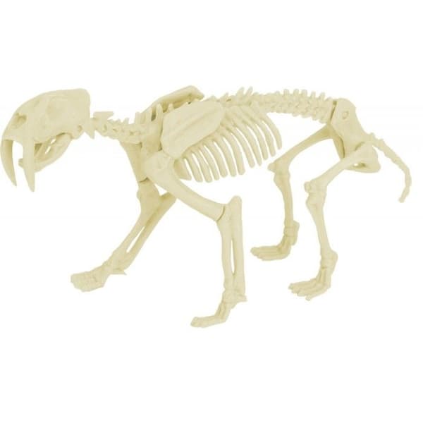 Ulysse - Kit Paleo - Smilodon