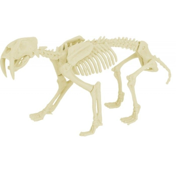 Ulysse - Paleo-setti - Smilodon