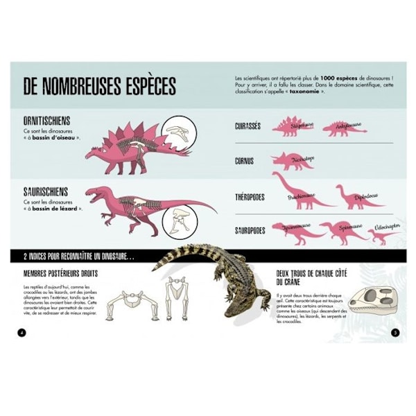 Bok och 3D-modell Dinosaurier - The triceratops Blå