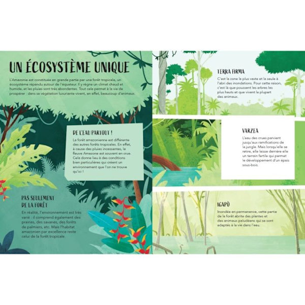 Bok - Amazonien - Planeten i fara - Miljö - Biodiversitet - Ekologisk nödvändighet