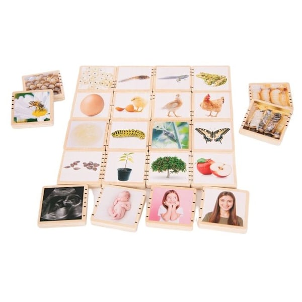 Koulutuspeli - TickiT - Elämänkierto - 24 osaa - Poppelivaneri - 12 kuukautta ja yli Beige