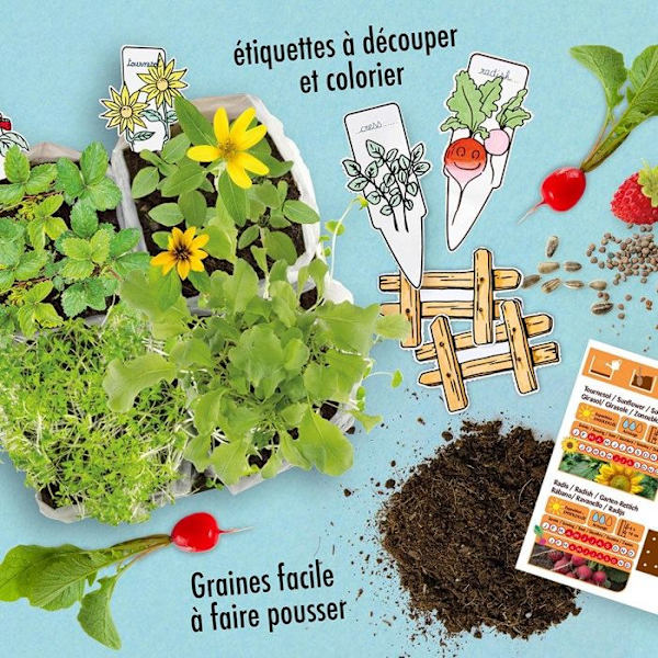 Radis et Capucine L'ATELIER MINI POTAGER Pieni puutarha, joka kasvatetaan makuuhuoneessa