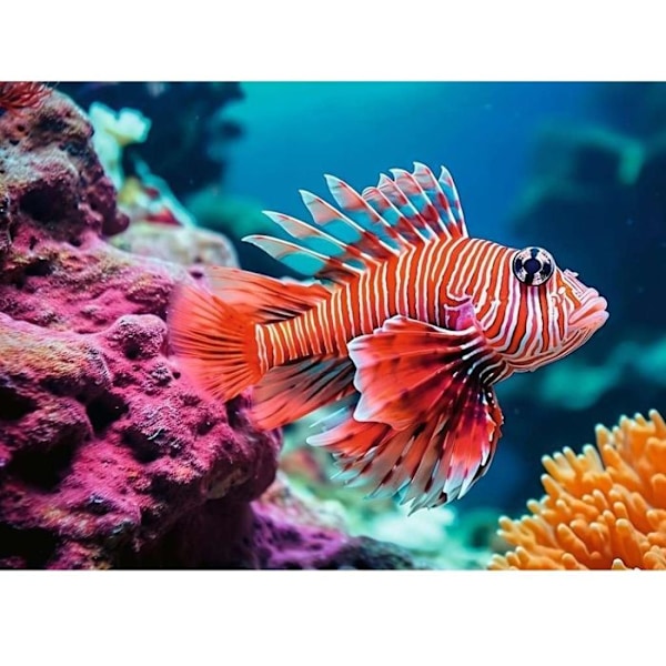 500p Highlight Poisson-lejon Vit