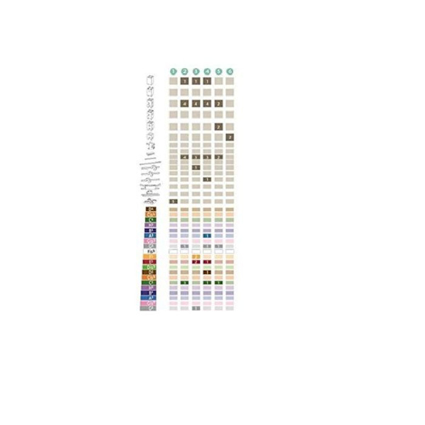 Xyloba - Melodinen kuulan rata Veljensä Jaakko - WEIZENKORN Beige