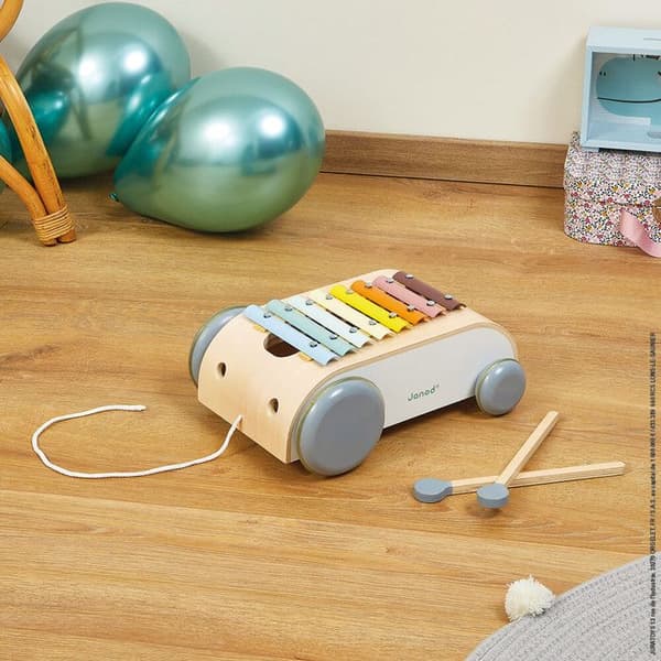 Xylo Roller Sweet Cocoon Flerfärgad