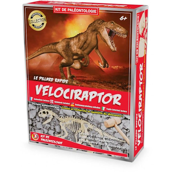 Ulysse - Paleo-setti - Vélociraptor
