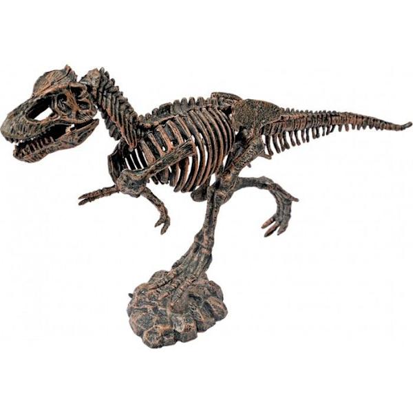 Kit Paleo: Läpi Aikojen