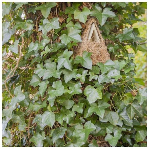 Esschert Design - Camouflage Birdhouse