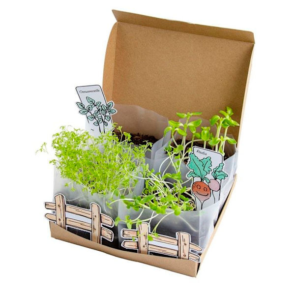 Radis et Capucine L'ATELIER MINI POTAGER Pieni puutarha, joka kasvatetaan makuuhuoneessa