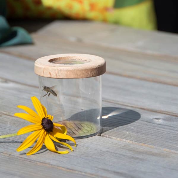 Insektobservationsboks Udendørs 7 cm