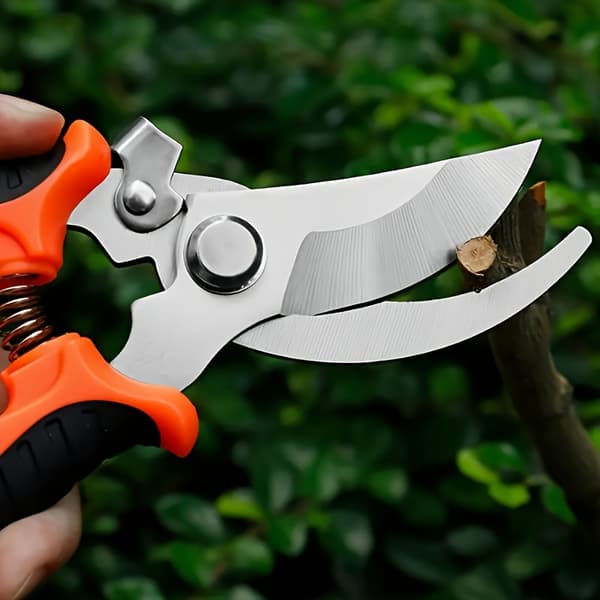 Professional Pruning Shears Sharp Bypass Pruners for Tree Trimming Gardening Yellow Black Yellow Black