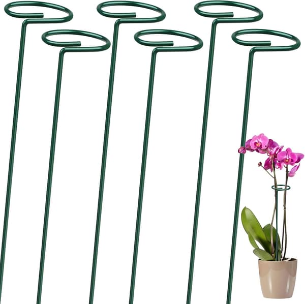 Växtstöd, metallväxtstöd, växtpinnar, trädgårdsväxtstöd för utomhusväxter och blommor, 6-pack