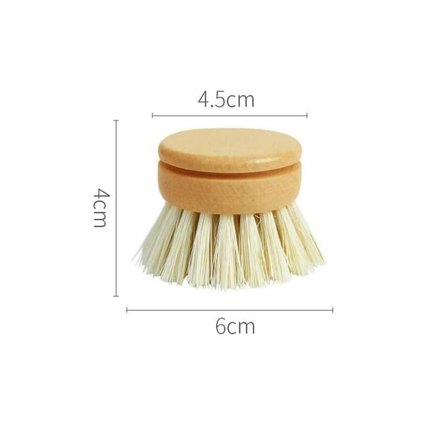 Diskborste i sisal bokträ köksrengöringsborste - 6 x 4 cm, 6-pack