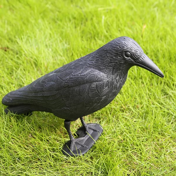 Duefugleskræmmer krage siddende, siddende krage sort, ravn dekorative figurer
