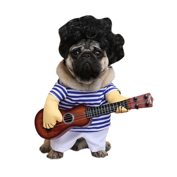 Hundekostumer Dyrefestkostumer Cosplay Kæledyrskostumer M