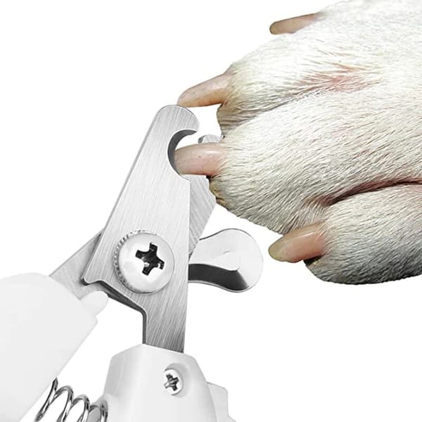 Professionel negleklipper til kæledyr i rustfrit stål, negleklipper til hunde, negleklipper til katte