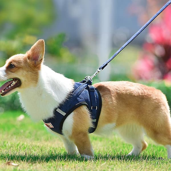 Hundesele med snor til hunde, blød mesh brystsele (L, marineblå)
