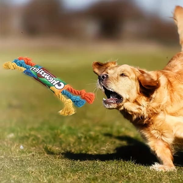Holdbart, pibende hundetyggelegetøj – Robust 1PC