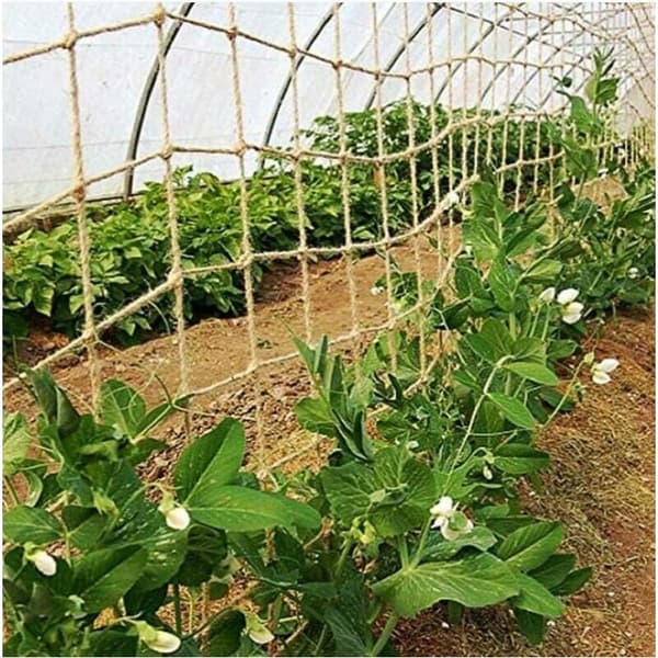 BF Naturligt jutestödnät för klätterväxter