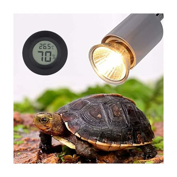 Digital termometer hygrometer för reptiler och amfibier Digital reptiltermometer Digital hygrometer för reptiler (svart)