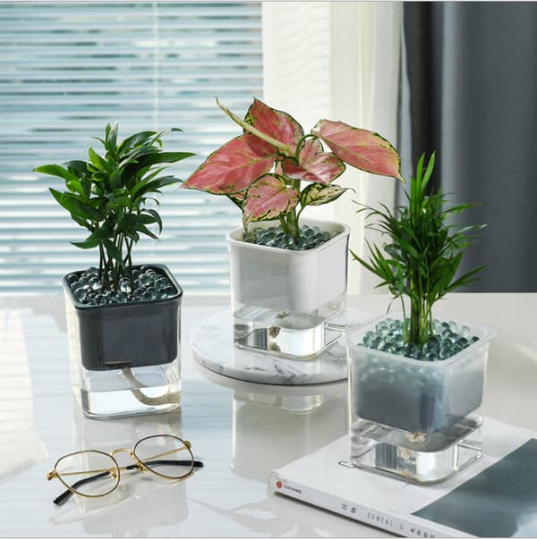 2 stk. urtepotter, pothos selvabsorberende urtepotter Svart