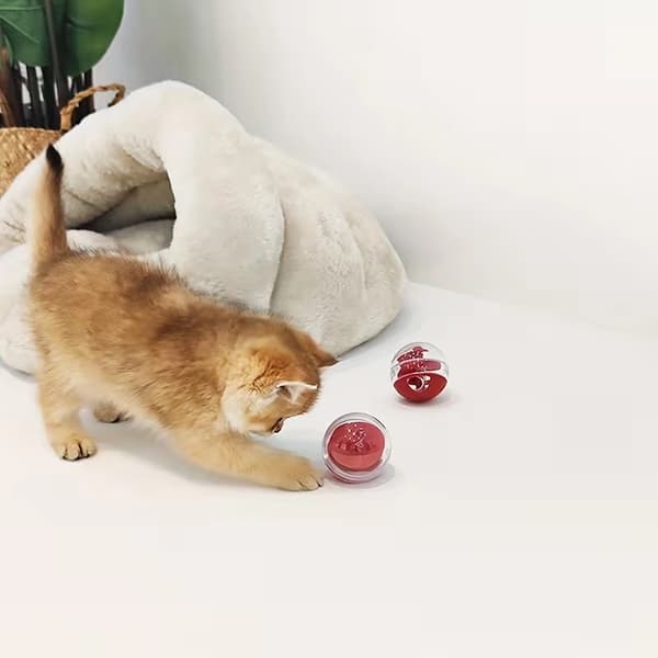 Kattmatare, husdjursmatare, kattleksaker för utfodring 1pc