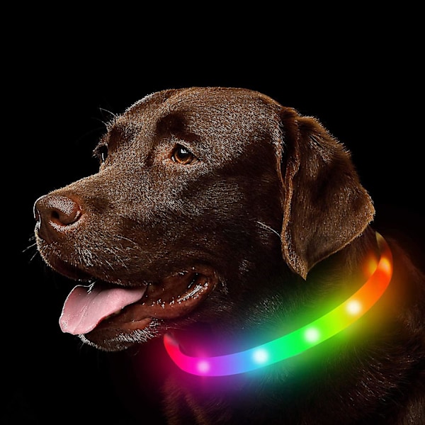 LED Hundhalsband, Uppladdningsbart Regnbågsfärgat Lysande Hundhalsband, Vattentäta Hundlampor Gör Husdjuret Synligt Och Sä  (W)