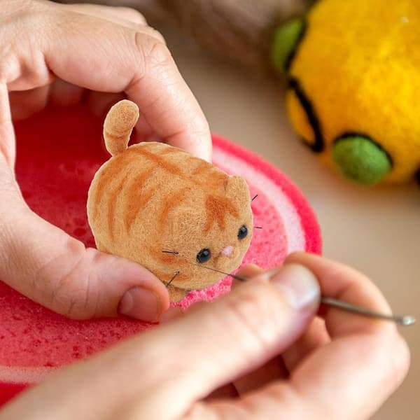 Dette uldfiltningssæt (Garfield-mønster) er perfekt til begyndere (W)