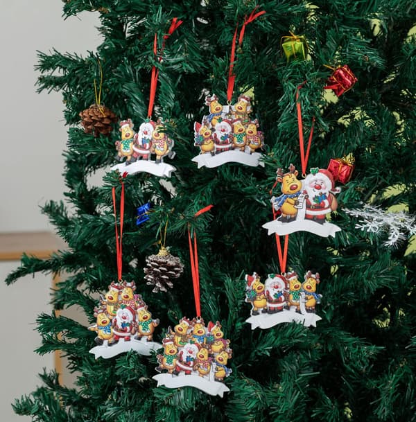 Ren Julgransdekoration, Set om 6, Färgglad