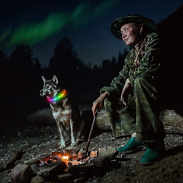 LED Hundehalsbånd, Oppladbart Regnbuefarget Lysende Hundehalsbånd, Vanntette Hundelys Gjør Kjæledyret Synlig Og Sa (W)