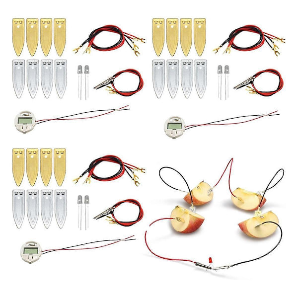 Fruktbatteri Vetenskapsexperiment Kit för Hemundervisning Leksak, Citron Potatis Batteri Fysik Undervisningsexperiment 3 Set