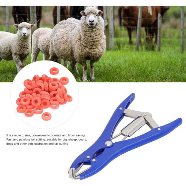 Elastisk kastrationstang i rustfrit stål til kvæg, svin, får, bælte, 100 gummiringe, 21,5 cm, blå (Fww) Bleu