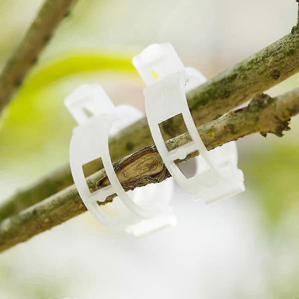 100 stk. tomatclips understøtter forbinder planter vinstokke bure til haven (Fww)
