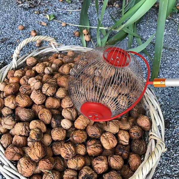 Nødopsamler Æggebær Picker Upper - Sideåbning Dump Valnød Picker Upper Rulle Pinecone Picker Upper fw S