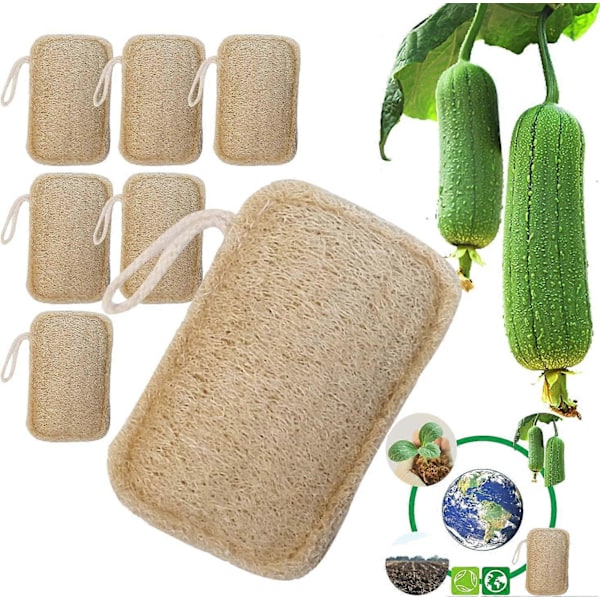 Luomusieni-luffa 6 kpl, 100 % luomua, biohajoava ja kompostoitava, luonnollinen ympäristönsuojelu, keittiö, kylpyhuone, retkeily (L)