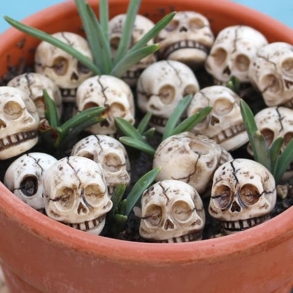 Små Halloween-spøkeleker i harpiks formet som hodeskaller (20 stk), egnet som tilbehør til rollespill (W)