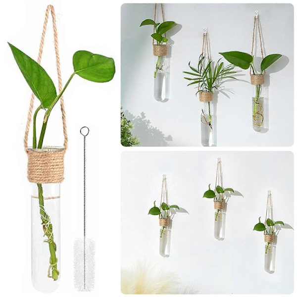 4 st Hängande Glasrör Växtterrarium Liten Väggvas Fönsterdekoration för Inomhus Utomhus (B)