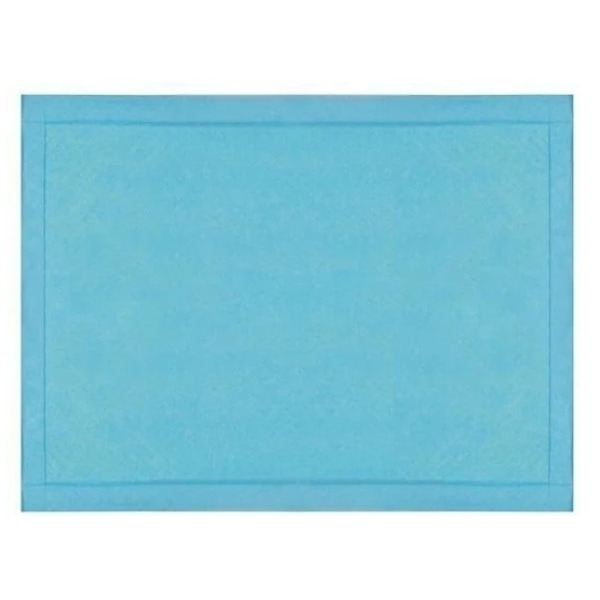 100-pack - Hygienbindor / Engångsunderlägg / Hygienunderlägg Blå 33*45cm (B)