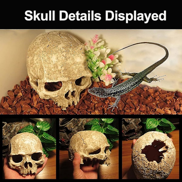 Akvarium Hodeskalle Dekor - Resin Akvarium Dekorasjoner Hule Betta Fisk Gjemmested Reptilhus For Små Fisk Og Reker