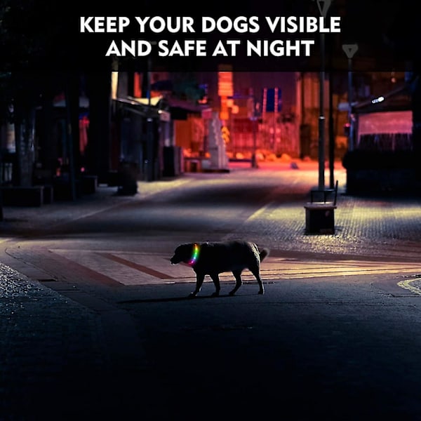 LED Hundhalsband, Uppladdningsbart Regnbågsfärgat Lysande Hundhalsband, Vattentäta Hundlampor Gör Husdjuret Synligt Och Sä  (W)
