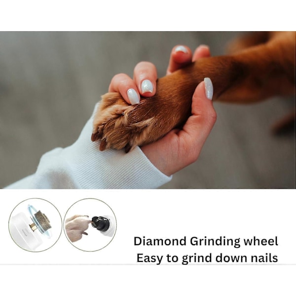 GAJETNEST Professionel neglefil til kæledyr, hunde og katte, med 2 hastigheder, LED USB-oplader (W)