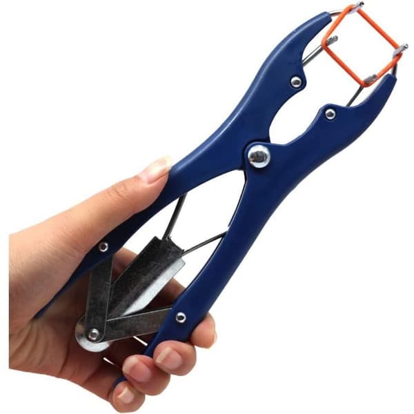 Elastisk kastrationstang i rustfrit stål til kvæg, svin, får, bælte, 100 gummiringe, 21,5 cm, blå (Fww) Bleu