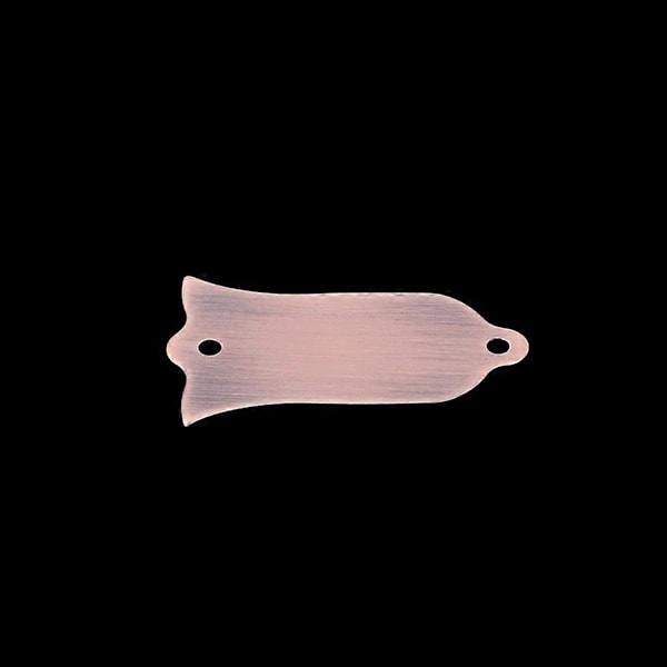 2 Hål Metall Truss Rod Cover Gitarr Bas Ersättningsdel Gitarrtillbehör (W)