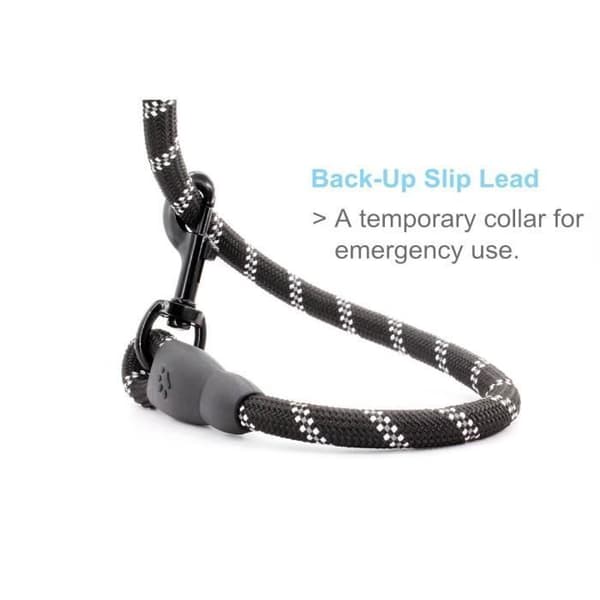 Hundkoppel - 1,5 m - Stötsäkert - Bekvämt - Nylon（Fww） Rose, Rouge, Noir, Bleu