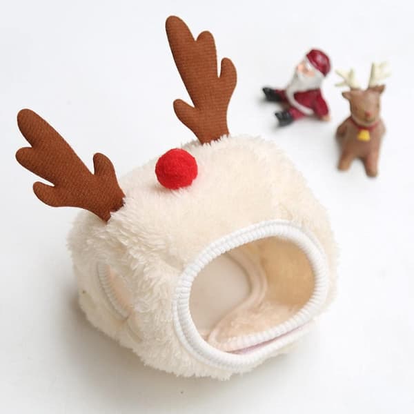 Sött rött L-husdjursset för jul med haklapp och hatt