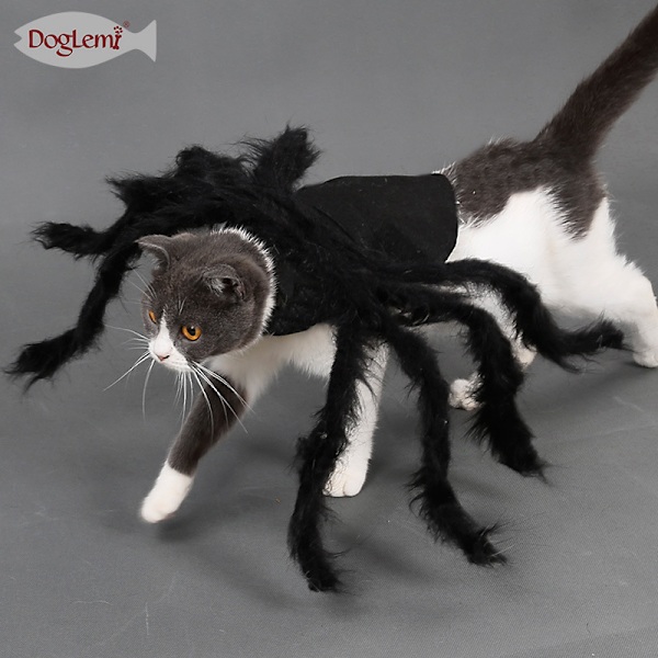 Halloween Dekoration Kæledyrstøj Edderkop Hvalp Kat Horror (W)