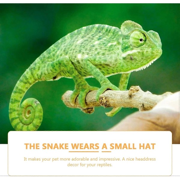 8 st Husdjurshatt med justerbar elastisk rem - Stickad hatt för marsvin Reptilhatt Kostym Hamsterkläder för små reptildjur Husdjursartiklar (W)